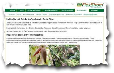 oekostrom_flexstrom